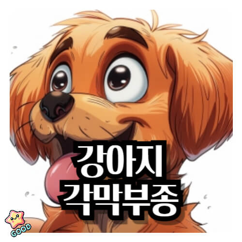 강아지-각막부종