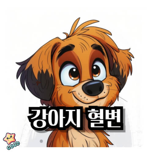 강아지-혈변