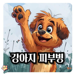 감아지-피부병