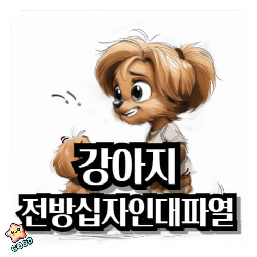 강아지-전방십자인대파열