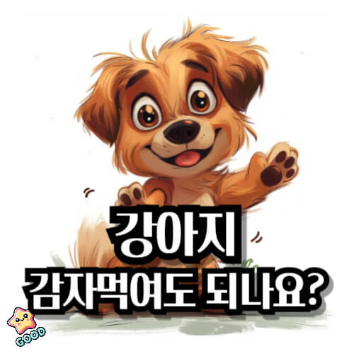강아지-감자