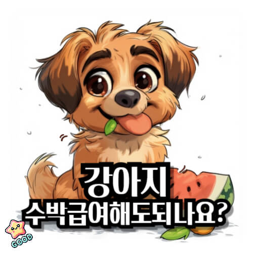 강아지-수박