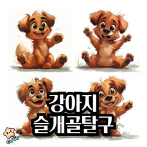강아지-슬개골-탈구