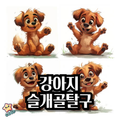 강아지-슬개골-탈구
