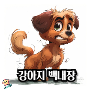 강아지-백내장-증상-원인-대책