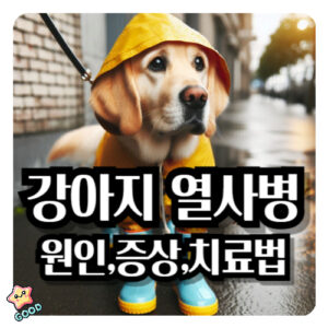 강아지-열사병-원인-증상