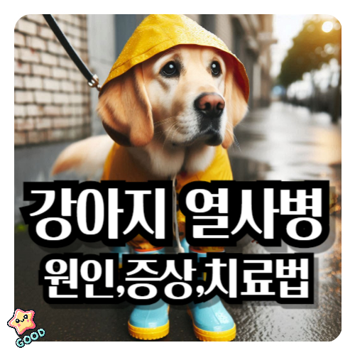 강아지-열사병-원인-증상