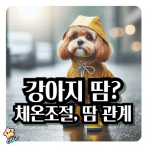 강아지-땀-흘리나-체온조절-관게