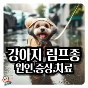 강아지-림프종-암-악성종양