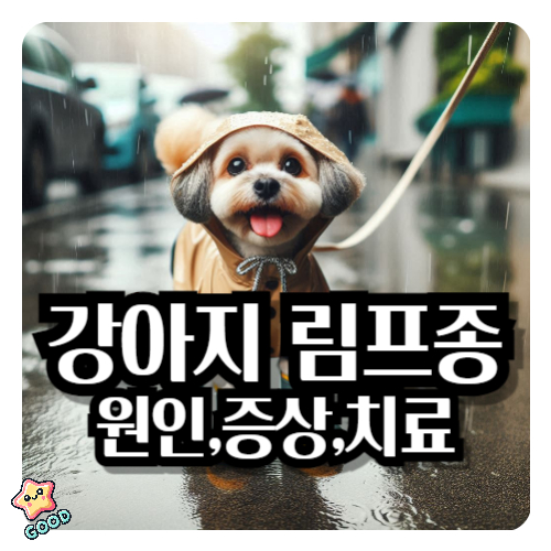 강아지-림프종-암-악성종양