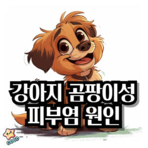 강아지-곰팡이성-피부염-
