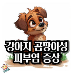 강아지-곰팡이성-피부염-