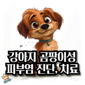 강아지-곰팡이성-피부염-