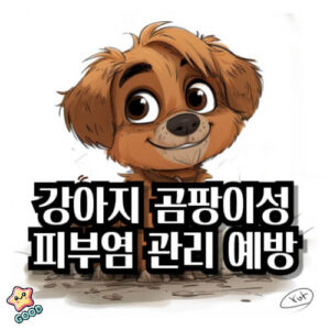 강아지-곰팡이성-피부염-