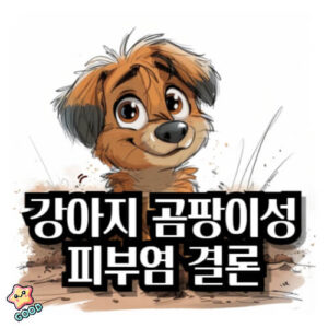 강아지-곰팡이성-피부염-