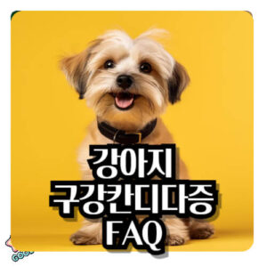 강아지-구강-칸디다증-증상-원인-예방