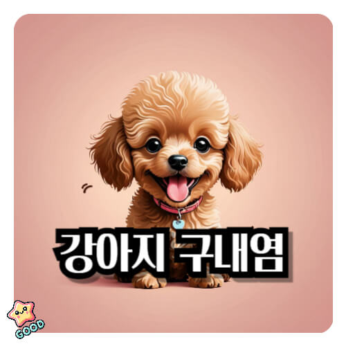 강아지-구내염-증상-원인-치료