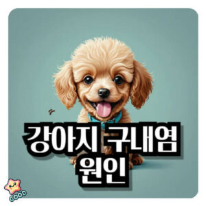 강아지-구내염-증상-원인-치료
