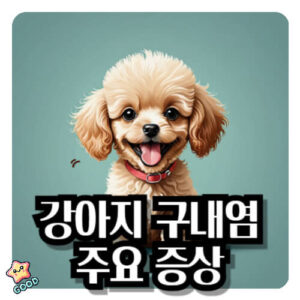 강아지-구내염-증상-원인-치료