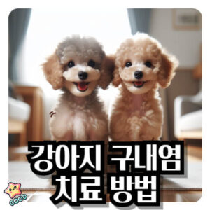 강아지-구내염-증상-원인-치료