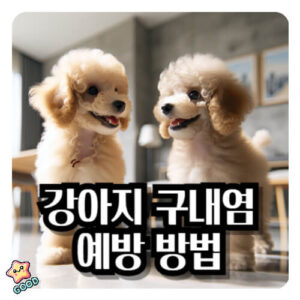 강아지-구내염-증상-원인-치료
