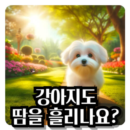 강아지-땀-흘리나요