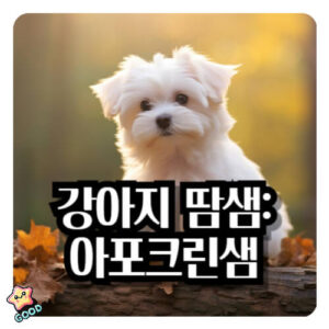 강아지-땀-흘리나요