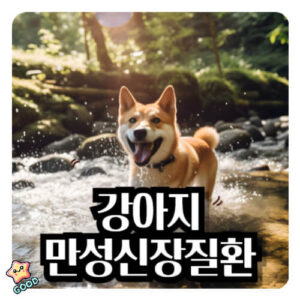 강아지-만성-신장-질환