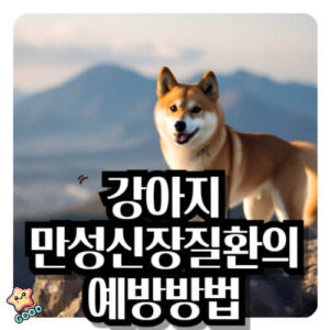 강아지-만성-신장-질환