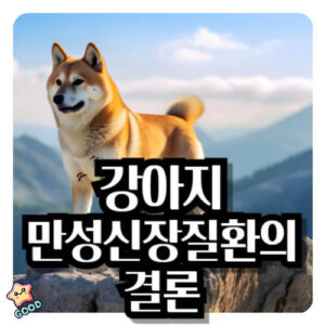 강아지-만성-신장-질환