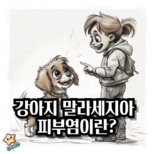 강아지-말라세지아-피부염-원인-증상