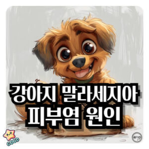 강아지-말라세지아-피부염-원인-증상