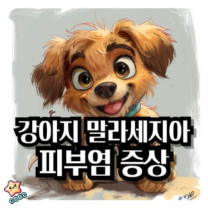 강아지-말라세지아-피부염-원인-증상