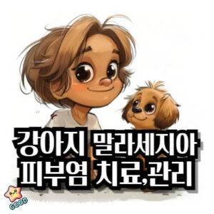 강아지-말라세지아-피부염-원인-증상