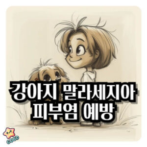 강아지-말라세지아-피부염-원인-증상