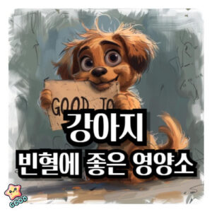 강아지-빈혈-좋은-음식