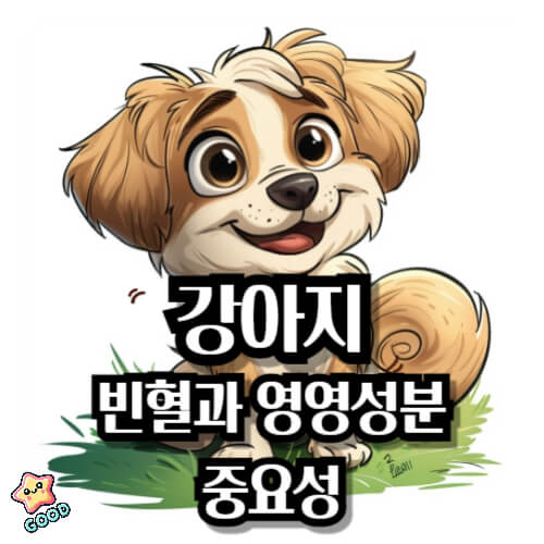 강아지-빈혈-좋은-음식
