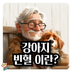 강아지-빈혈-증상-원인-치료