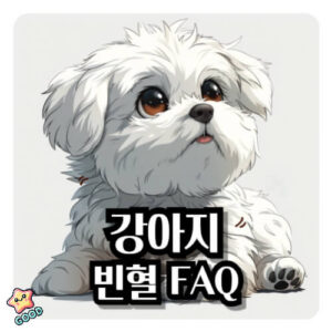 강아지-빈혈-증상-원인-치료