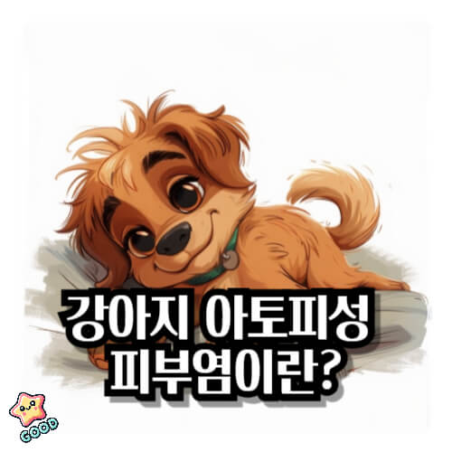 강아지-아토피성-피부염-1
