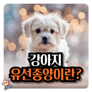 강아지-유선종양-증상-원인-치료