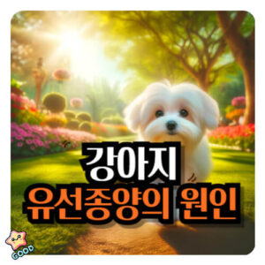 강아지-유선종양-증상-원인-치료