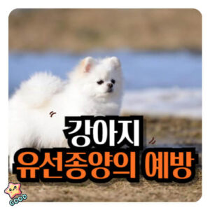 강아지-유선종양-증상-원인-치료