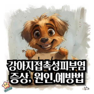 강아지-접촉성-피부염-1