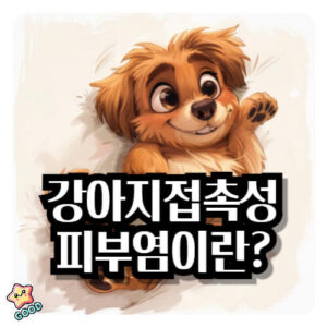 강아지-접촉성-피부염-2