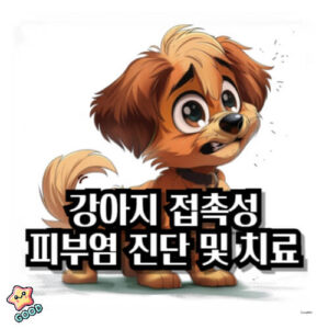 강아지-접촉성-피부염-3