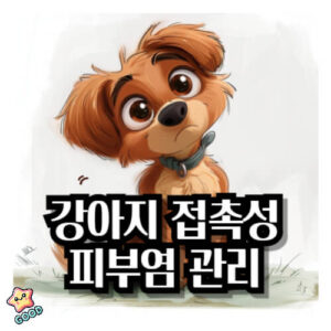 강아지-접촉성-피부염-관리