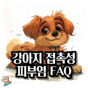 강아지-접촉성-피부염-67