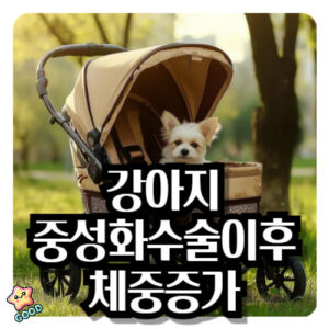 강아지-중성화수술-체중증가