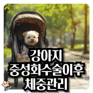 강아지-중성화수술-체중증가